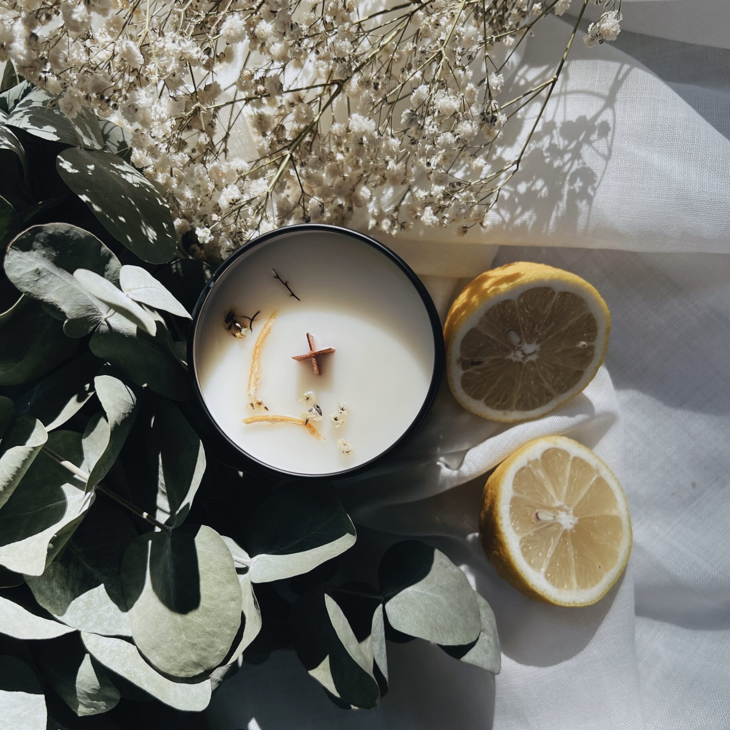 share-B0B3E17A-B41D-4776-BE01-CF24CD305FA4 botanical soy lab candele artigianali cera soia cocco
