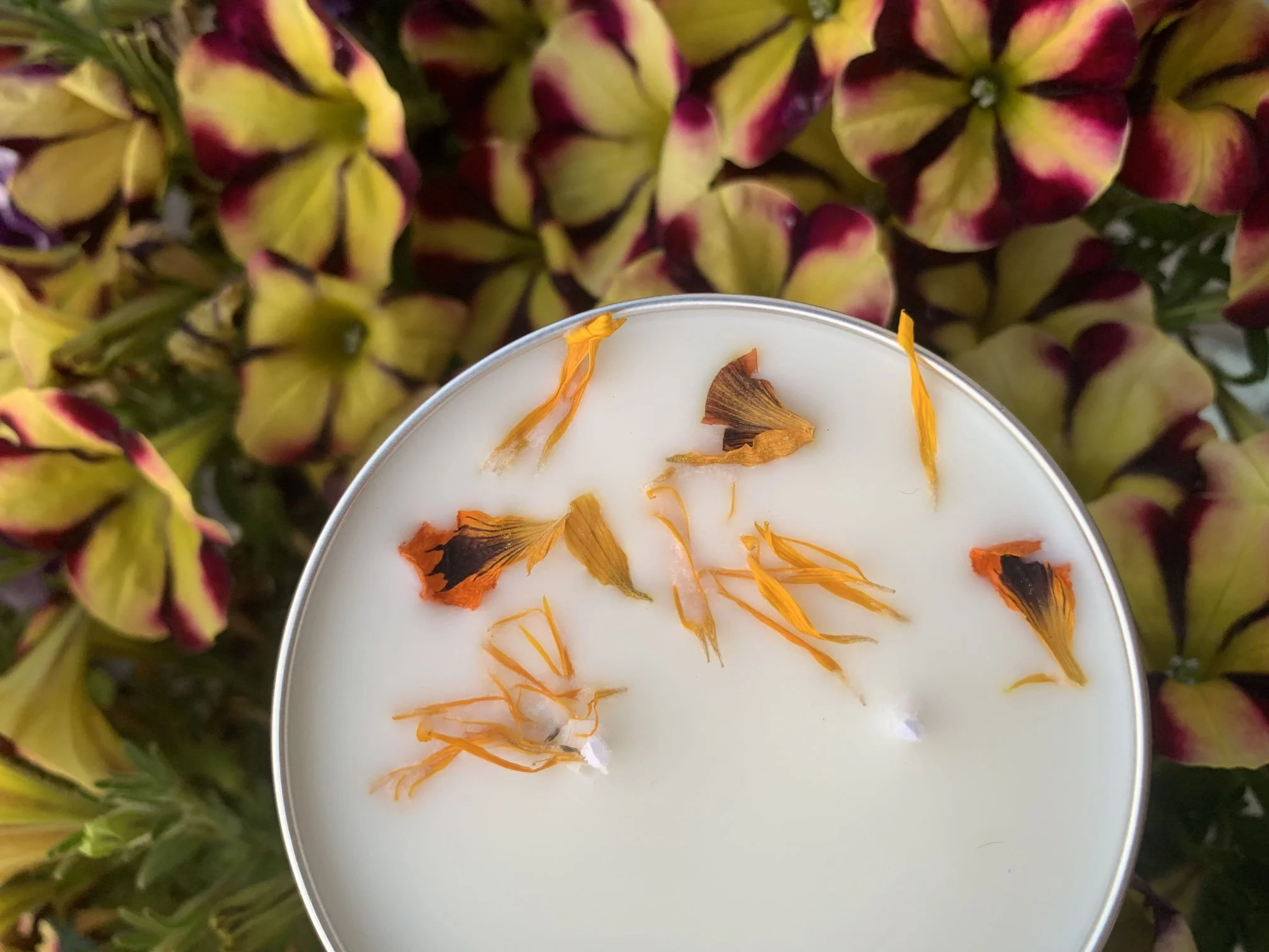 candele-in-latta-5 botanical soy lab candele artigianali cera soia cocco
